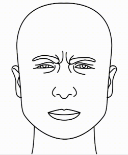 brow_lowering.png